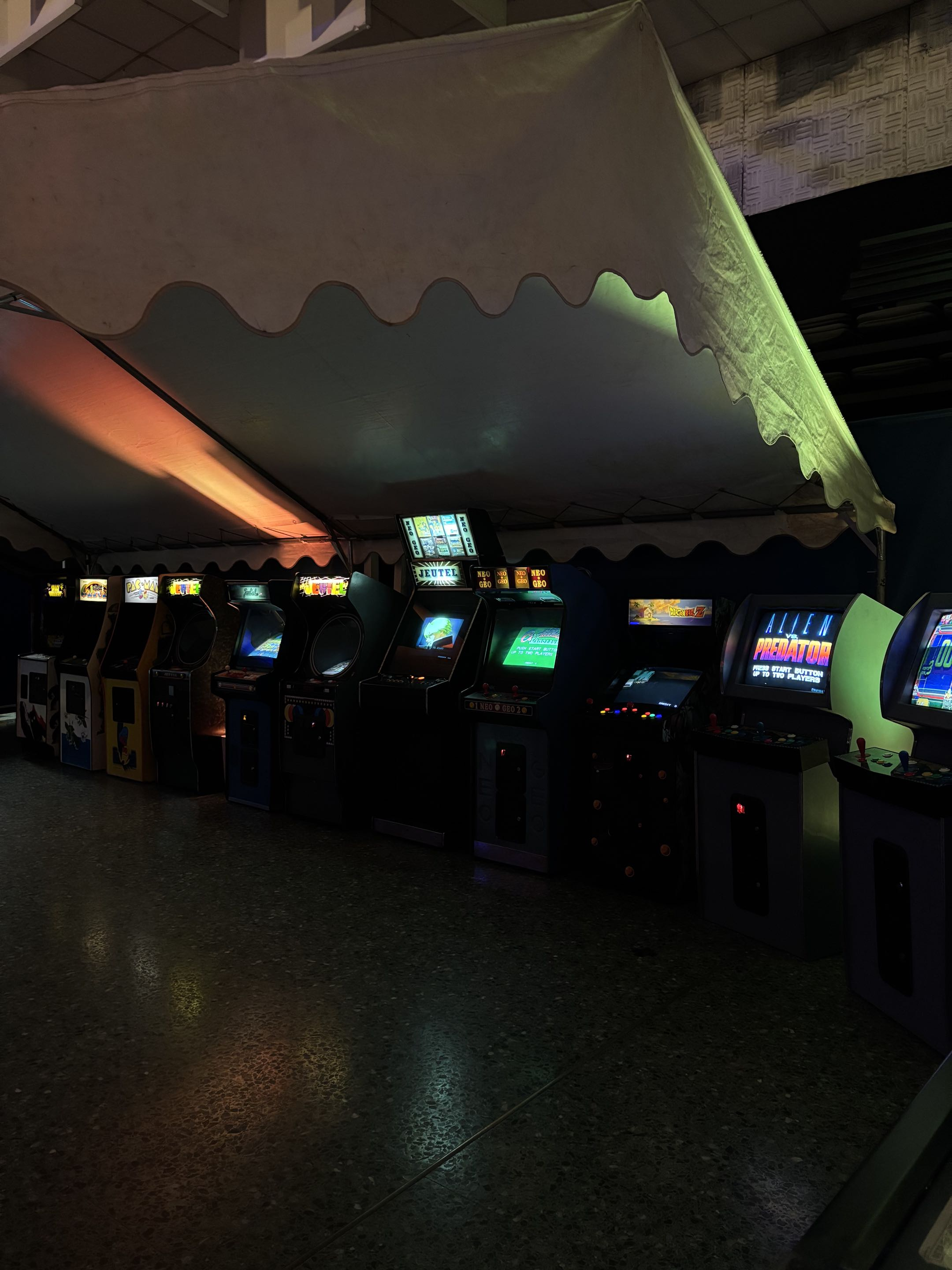 Les espaces de jeu du premier salon
